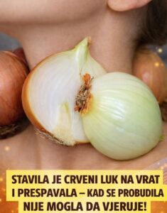 619401030_1295152505979250_5491489749496749809_n