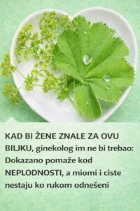 619560107_122161443590694359_129964572750567275_n