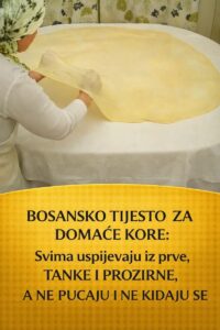 620100205_1243369674553622_7616557498823455394_n (1)