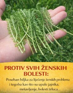 621684097_1298018865692614_583544429511765324_n