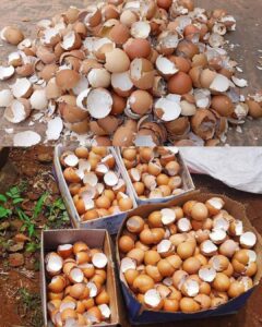 484011472_9521477447911912_4687697390692494036_n