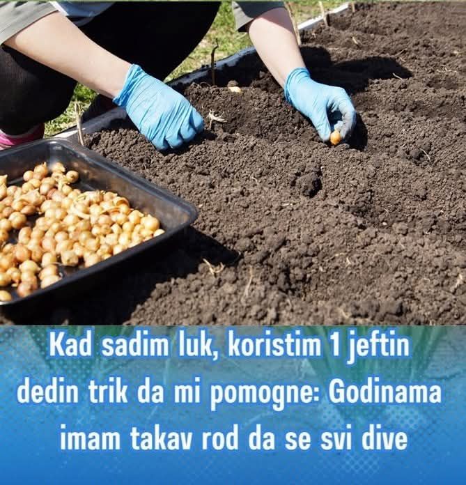 489887396_9716265951766393_4255337699923935719_n