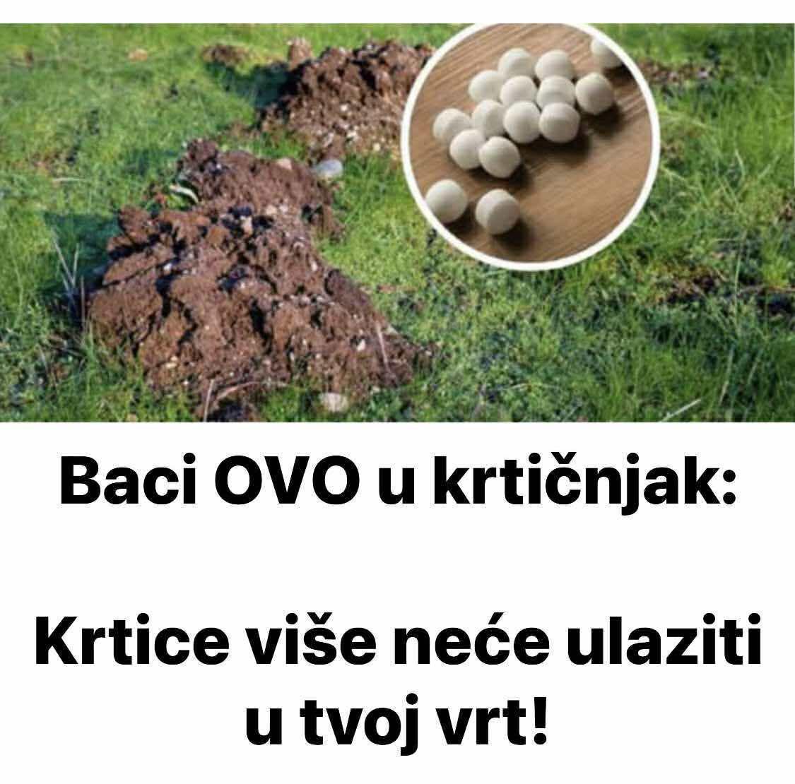 498131766_23988349217464828_3021879476479023802_n