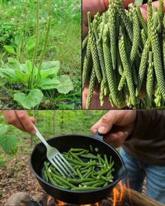 502620324_122176572590367064_4192384040989426009_n