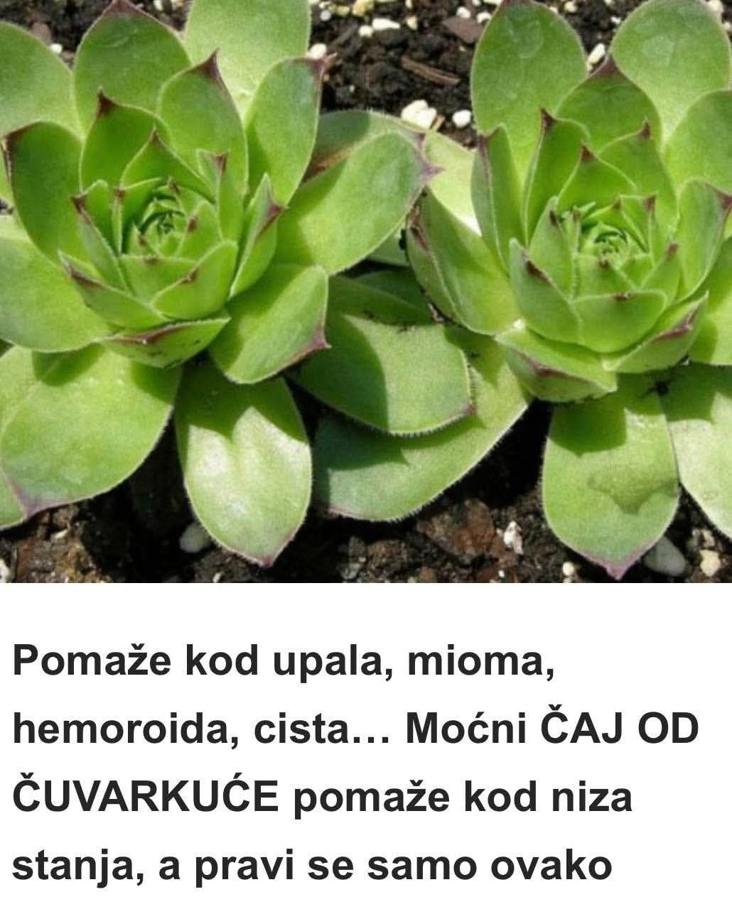 504379935_24182697978029950_6149410852335286954_n