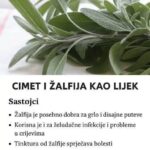 CIMET I ŽALFIJA KAO LIJEK: Zapišite i čuvajte ova tri odlična recepta.