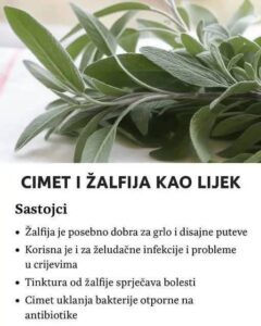 506403600_23956945307271886_1426834271079717879_n