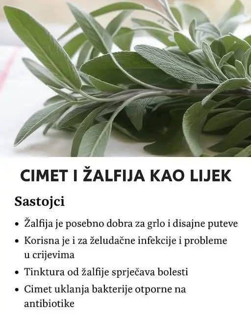 506403600_23956945307271886_1426834271079717879_n