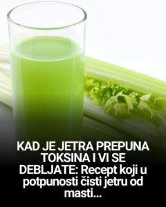 516087103_24121858200780595_5206382885177079938_n