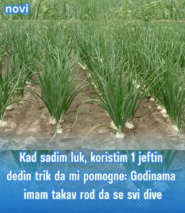 517572577_10228342416335738_1345126022196972165_n