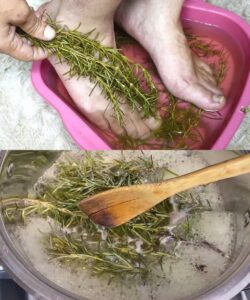 518069935_24189555817344166_387321830774744999_n