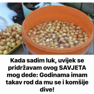 518216789_10228322585239973_5390127085132784075_n