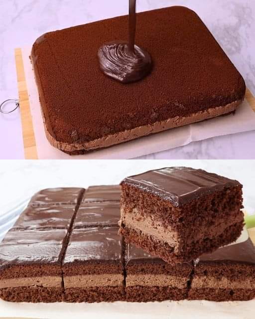 518292653_10228328005735482_7416647371784531712_n