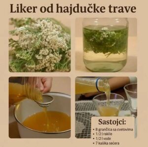 518355338_24200711239561957_7499323770287564972_n