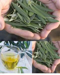 519943267_10228466644601367_4594539870090809607_n