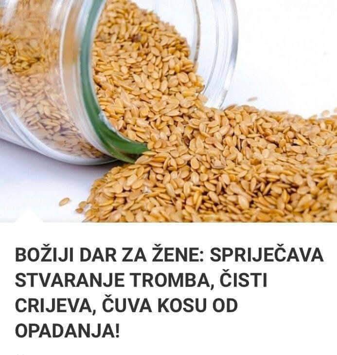 524172305_10228523360619232_7661930701829448743_n