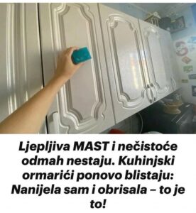 543377089_10228892409485223_5504539164126647038_n