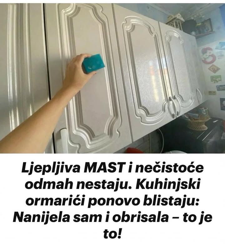 543377089_10228892409485223_5504539164126647038_n