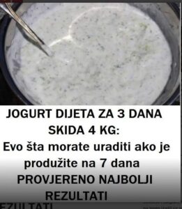 544628711_24633385722961171_527724673588754520_n