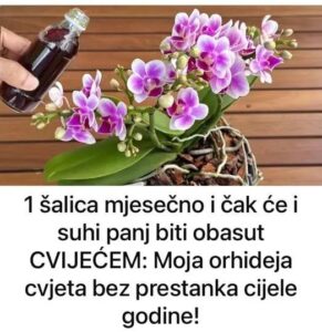 547286655_24658866020413141_6419906758223121495_n