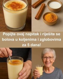 554850946_10229125648076042_3854646286957547516_n