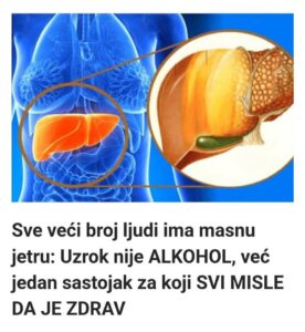 559321272_25012711798361893_2464948203364267875_n