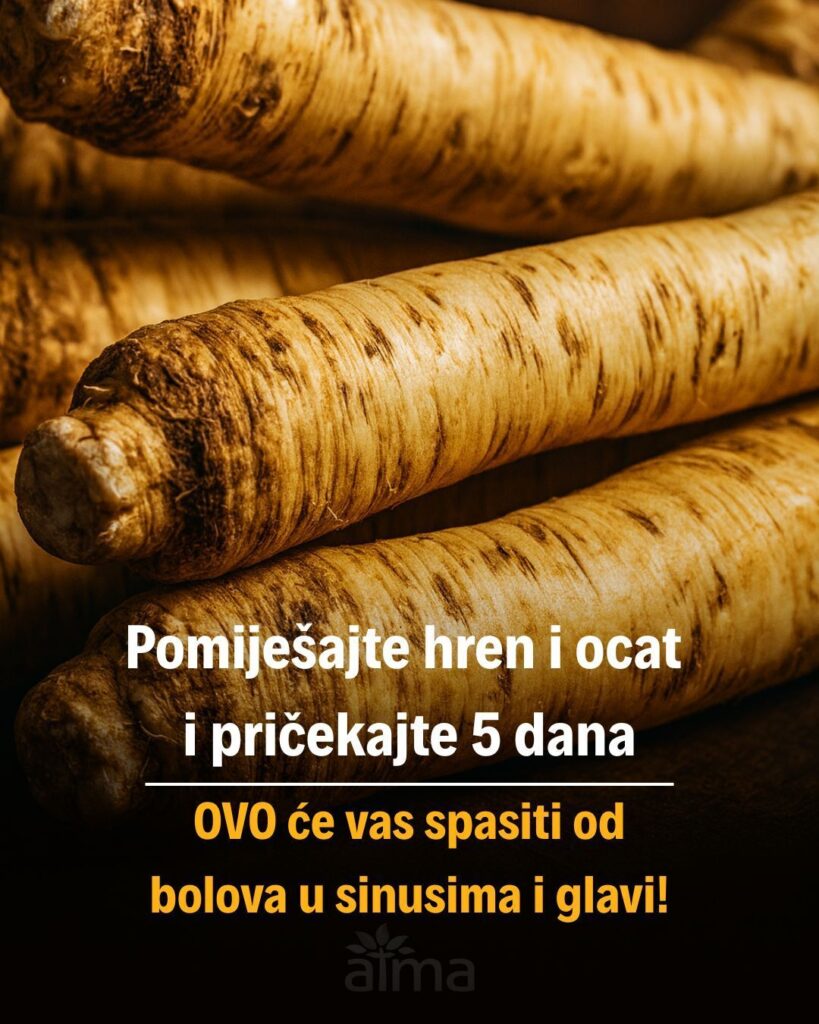 560930459_10229249586014413_2559149498419187431_n