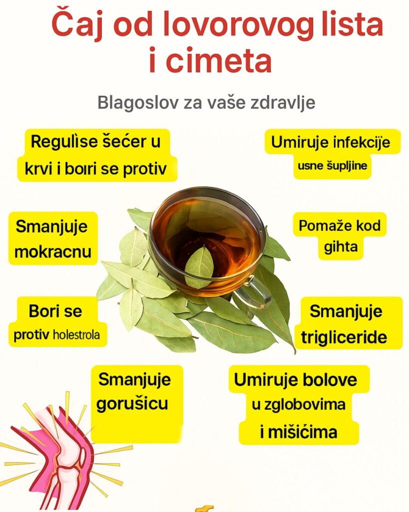 581679168_122203150340310215_6757649054351900507_n