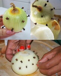 584611279_10229690969648728_7358515099991896075_n