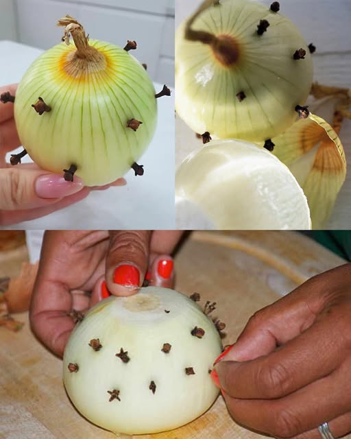 584611279_10229690969648728_7358515099991896075_n