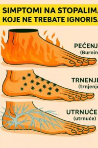 588546225_25361790346787368_6473207029865636252_n