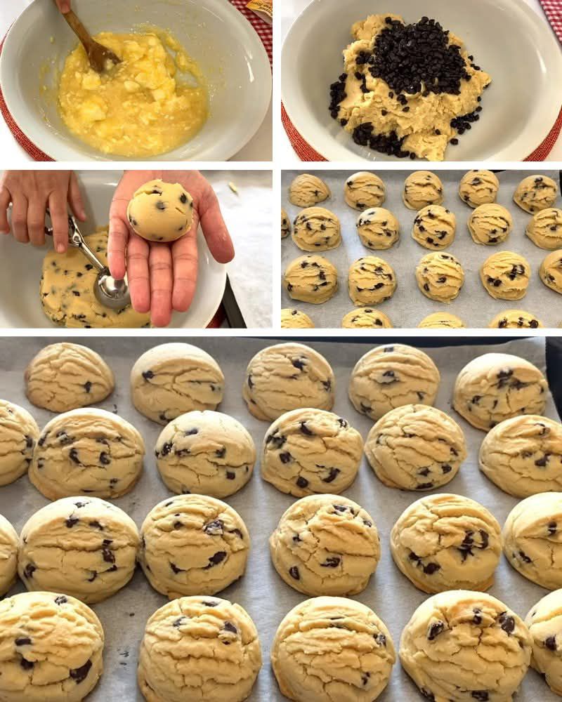 595498100_10229877048580585_9012725195487358164_n