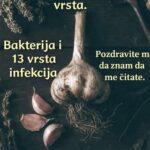 Beli luk: Prirodni antibiotik koji uništava infekcije 🌿🧄Beli luk: Prirodni antibiotik koji uništava infekcije 🌿🧄