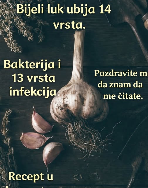 600445531_1297871705719998_461146832086827387_n