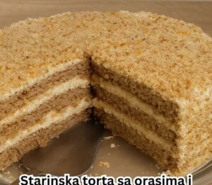 603886439_1454107099609335_7181291884796209026_n-512x445