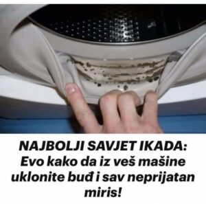 605718363_25696397459993320_7925159219186762529_n