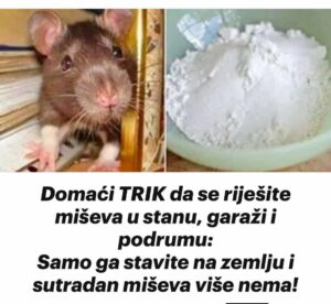 610940517_25727637830202616_3432779040855615121_n