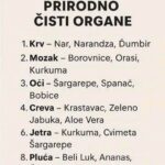 HRANA KOJA PRIRODNO ČISTI ORGANE