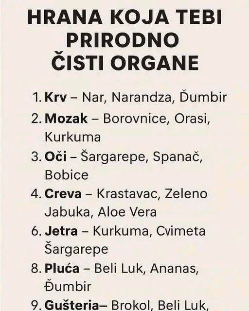 612519053_25755508700748862_4651552726672801411_n (1)