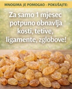 618161615_122179192922763532_7690134698572512906_n