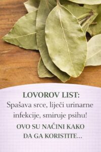 619341217_122107934883205536_7084514386217690388_n