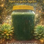 Med od čuvarkuće liječi cijelo tijelo, evo kako da ga napravite: Brzo zapišite recept, izvlači sva oboljenja