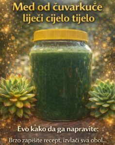 624153378_122213326136310215_1863131452356126888_n