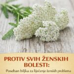 Prirodna riznica zdravlja: Zašto je hajdučka trava (kunica) neizostavna saveznica svake žene?
