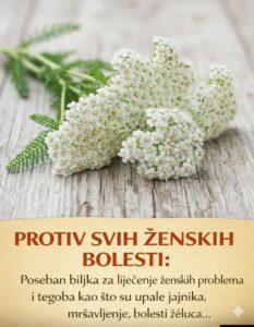 624256813_25941284672171263_8501819053814359992_n