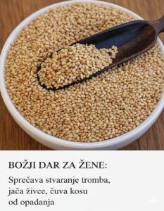 625039870_122152403522720928_2639213810932954944_n