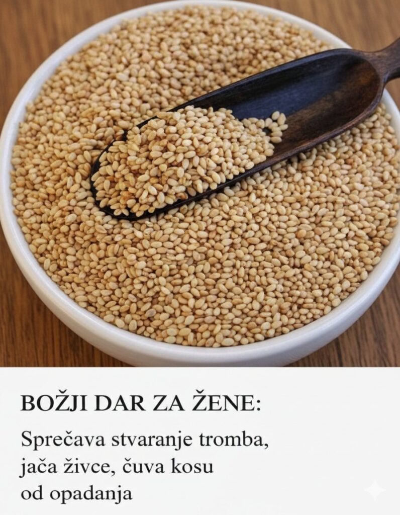 625039870_122152403522720928_2639213810932954944_n