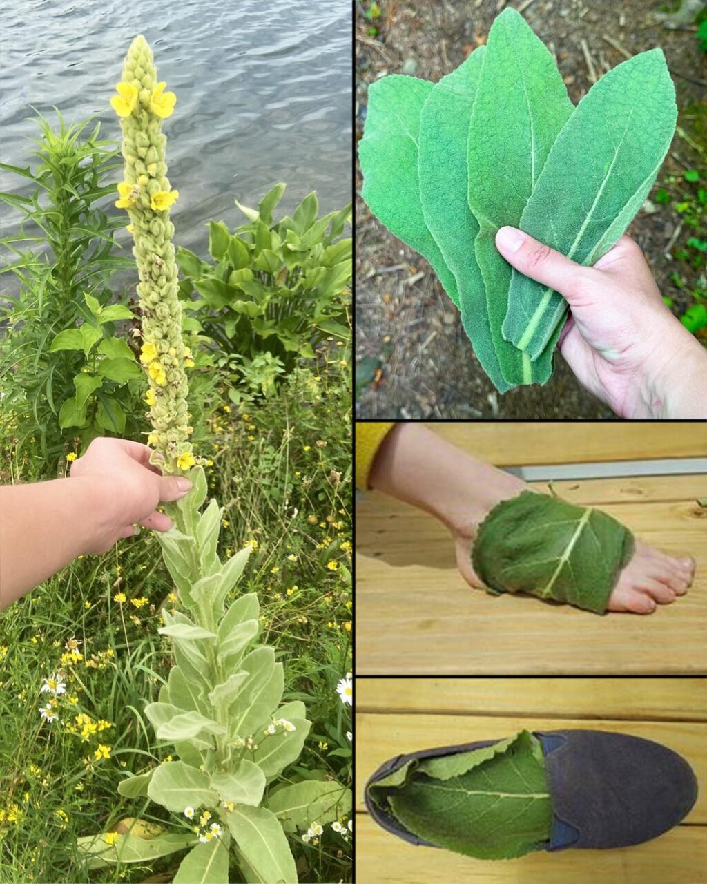 626268736_1217563193831532_6933176620316064402_n