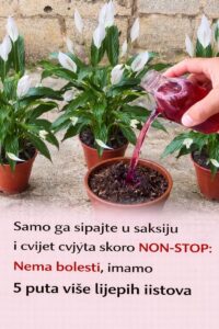 626324239_1250712737152649_8447787953198648218_n