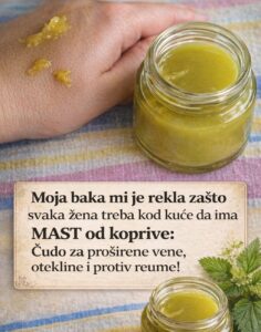 626735821_1308945637933270_5144190364075522884_n